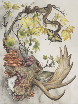 laurenmarx:  MOOSY MOOSE MOOSE!“Alces alces”, 2015, Ball point pen, Ink pencils, Acrylic ink, Marker, Colored pencil, Graphite, and Gel pen on Hot-Pressed Watercolor Paper, 18 ¼ x 24in.Ū,200This piece is still available. If you are interested in