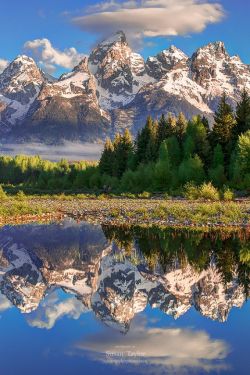 lifeisverybeautiful:    Teton Morning Reflection by Susan Taylor   