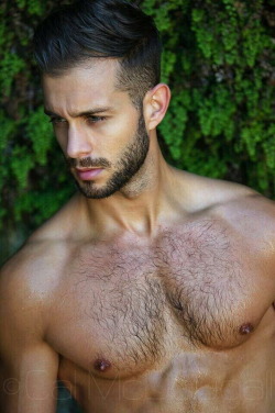 mett-inn:  furrypty:  A blog to indulge your senses with the beauty of the male shapes.The blog – http://furrypty.tumblr.com/ The archive – http://furrypty.tumblr.com/archive  mett-inn