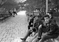 disasteur:  wild-soulchiild:  objektid:  American greasers hang out in the park. The greaser subculture began in the 1950s with the advent of rock and roll and era was comprised largely of rebellious, working-class youths obsessed with hot rods and music.