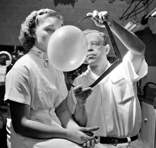 Harry Harris - Test de chewing-gum, New York, 16 septembre 1949.Le Dr Morris Nafash est directeur de recherche pour la Bazooka Bubble Gum Company. Il teste la texture et l'élasticité de la gomme et développe de nouvelles saveurs. Ici, il utilise un