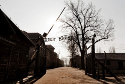 awkwardsituationist:  january 27 is holocaust remembrance day. it was on this day in 1945 that the soviet army liberated auschwitz concentration camp. it is estimated that at least 1.3 million people were deported to auschwitz between 1940 and 1945. of