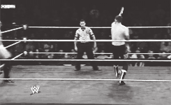 primocolon:  GREAT MATCHES IN 2013: Adrian Neville vs Sami Zayn - WWE NXT (November 27, 2013)   Amazing match!! =D