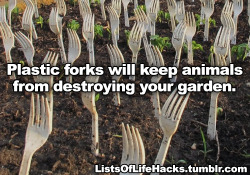 falsepalindrome:  resting-dick-face:   listsoflifehacks: Genius Gardening Hacks I do a lot of this shit. The vinegar and baking soda stuff I’ll have to try. You can also use craft paper that they sell in big rolls at the hardware store as a weed mat