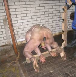 xrayeyesblue:  harshmaleslave:  maturemenintrouble: Another amazing scene made by the sadistic farmer and his friend, who kidnap his victim once in a while, the one who they call ‘dirty pig’. He is a strong guy, who only knows when he has to get