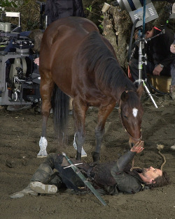 amber-and-ice:  timespaceprincess:  inksplotched:  terecita:  thatswhenyouseesparks:  Still my favorite story from the Lord of the Rings set: Viggo Mortensen bonded so much with the horse he rode in the movies that after filming was over he bought it