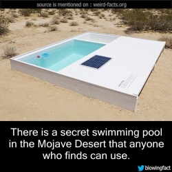 mindblowingfactz:    There is a secret swimming pool in the Mojave Desert that anyone who finds can use. source image viaÂ dailymail   going to have to go looking for this