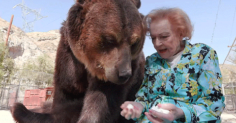 iwt-v:Betty White and a bear stop what you’re doing and reblogBetty White: First Lady of Television (Netflix)