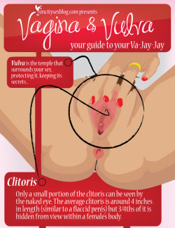 cbjuice:  freeyourthinking:  a-slow-descent-into-madness:  bookshopsessions:  str8nochaser:  writingsofessencesoul:  loveinterracial:  lilithdiana:  In tribute to #masturbationmonth, here is Vagina &amp; Vulva: Your guide to your Va-Jay-Jay. #InfoGraphic