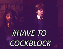 skwiggleskwid:  love-sempiternal:  THE BOY WHO COCKBLOCKED   THE COCKBLOCK WHO LIVED   Lmao  This is precious 