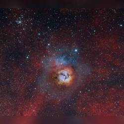 Composite Messier 20 and 21 #nasa #apod #trifidnebula #nebula #messier20 #m20 #messier21 #m21 #dust #gas #stars #starcluster #constellation #sagittarius #interstellar #intergalactic #universe #space #science #astronomy