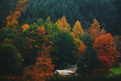 dpcphotography:  Autumn Landscapes