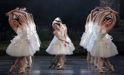 galina-ulanova: Swan Lake (La Scala Ballet, 2017)