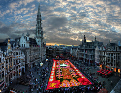 sixpenceee:  The biggest flower carpet in the world. It is located in Brussels. It’s to pay tribute to the estimated 220,000 Turks who began coming to Brussels 50 years ago under an immigration pact. (Source)