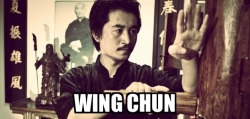 rootsofcombat2:  Brief guide to kung styles Wing Chun-a close combat style focusing on straight punching, palm strikes ,elbows, knees, and low kicks  bagua-a southern style that focuses on circular movement, light footwork, palm strikes, and joint locking