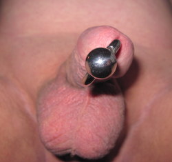 Looks kind of like a disco ball hanging off my cock!