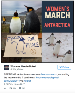 buzzfeed:People In Antarctica Are Holding Their Own Women’s March