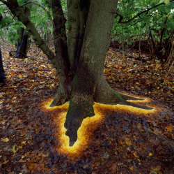 pomrania:  landscape-photo-graphy:  Artist’s Temporary Decaying Art Brings Enchantment To The Forest British sculptor Andy Goldsworthy is known for his phenomenal and temporary, installations which involve using natural elements, ranging from sticks,