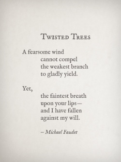 michaelfaudet:  Twisted Trees by Michael Faudet 