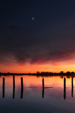 touchdisky:  by Sunset Snapper 