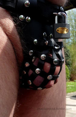 ruffropes:  chastityrocks:  try to escape, it hurts. ( ZADO chastity leather belt )  Hmmmmm…what do you think, BOSS? 