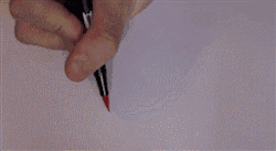the-absolute-best-gifs: It’s so beautiful