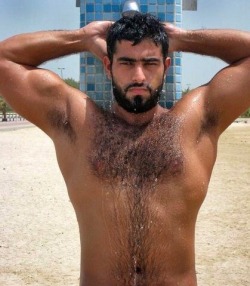 bearpitpig:  #HairyPits #Armpits #Bear #Pits #MuscleBear #Hairy #Pig #Furry #FurryPits #Pit #ManlyPits