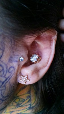 shannakeyes:  BVLA crown setting in my conch and mininova in my earlobe. Now just to upgrade my tragus…