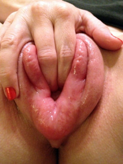 pussymodsgalore  Vacuum pumped pussy, beautifully swollen and ready to be fucked. To get such results takes time and effort, the sort of result that all pussy pumpers can aim for. 