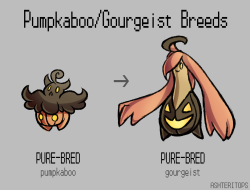 ashteritops:  I’ve been inspired lately by all of the Pokémon  variations and breeds on my dash, so I decided to make some of my own for one of my favorite lines!Here you can see some various breeds of Pumpkaboo, as well as the versions of Gourgeist