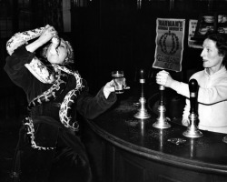 Circus performer Millie Kayes swallowing the head of a 12ft python in the bar of the Peggy Bradford hotel, 1952.