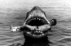 Mindég a hülyéskedés!! :D Amikor Spielberg cápázik!! :D