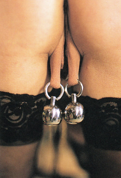  pussymodsgalore Rear view, stretched pierced labia with two weighted rings. 