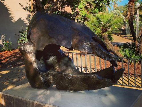 #Prehistoric #Dinosaurs #Beak #ImagineTheHead #ImagineTheBody  (at Balboa Park) https://www.instagram.com/p/CXQH2f_LF2SfyJPx6i8XNY9NW2Yq9hs0aWdAPE0/?utm_medium=tumblr