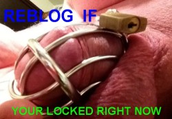asstastic769:  spotkb:  &ldquo;Spot&rdquo;Registered Slave  # 742-725-206  https://www.slaveregister.com/ MISS RAEhttp://alpha-miss-rae.tumblr.com  Locked in a MM bird cage   I am