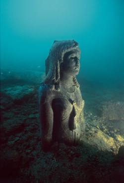 museum-of-artifacts:   The Dark Queen, statue probably depicting the Ptolemaic queen Cleopatra III (ruled 142–101 BC). Discovered in the lost, sunken city of Thonis-Heracleion  