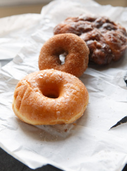 do-not-touch-my-food:  Glazed and Cinnamon Sugar Donuts and Apple Fritter / Bob’s Donuts