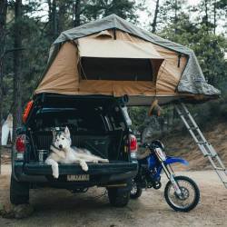 theadventurouslife4us:#camping , The perfect camping set up | 📸 Dylan Furst     Trying to do something similar with the Jeep 👌🏼