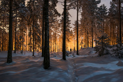  The Spirit of Winter A collection of winter photos shot between 2012-2014 by Finnish photographer Mikko Lagerstedt. 