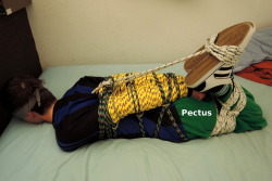 pectus00:  Well that was quick ;) 700 followers reached. Thanks! This time a hogtie I tied some days ago to put the new 30m yellow rope to its first use. He enjoyed it, I can tell ;) 
