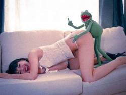 daddy-wants-wet-sugar:  👑 🐸 @sweetpeachesnaughtydreams   When Kermit discovered the ongoing affair between Miss Piggy and Fozzie Bear, he found no shortage of nubile young cuties more than willing to help him take a few ‘revenge’ photos&hellip;