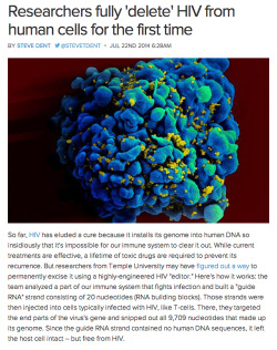 yipsinternally:  bromancing-the-stone:  platredeparis:  bnycolew:  mannysiege:  Progress  What  Imma just let this sit here  Science  Here’s the article. Because you should get the full picture? 