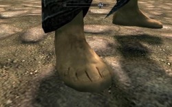gaygothur:  changelingsrule:   gaygothur: Reminder that the foot models in Skyrim are literally just shoes with a foot texture slapped over it Reminder that making a food 3d model is really annoying because the toes have way more line segments then the