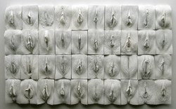  euo:  UK artist, Jamie McCartney, created plaster casts of 400 individual vulvae of women from ages 18-76 years old to produce The Great Wall of Vagina.  