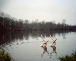 disclosur:  Synchronized Swimming, by Jean-Baptiste Courtier