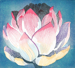 nijinoink: はす　Lotus 90×100mm, Eraser prints,　yasuko aoyama  2014.11  Beautiful 