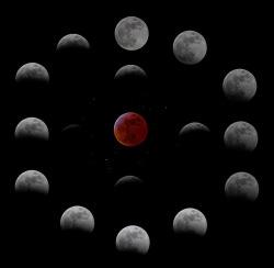 spacettf:  Lunar Eclipse Phases by James Dyson on Flickr. 