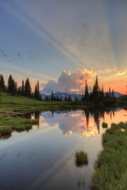 travelgurus:                  Sun Rays -   Tipsoo Lake, Washington by Summer Kozisek                Travel Gurus - Follow for more Beautiful Photographies!   