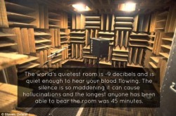 whatdoryforgot:  depthz:  How uncomfortably humans deal with silence.  Can somebody please take me here