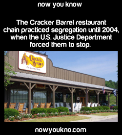 sistermaryfake:  foreverpruned:  swallowthatshit:  nowyoukno:    Source for more facts follow NowYouKno     WOW  Never going to cracker barrel again  Cracker Barrel is disgusting anyway. Practice self love and stop giving these people your money.